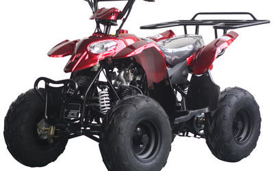 Dirt Demon 110cc ATV