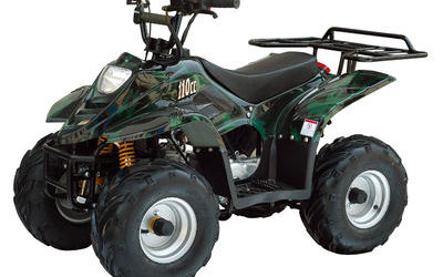 Shadow 110cc ATV