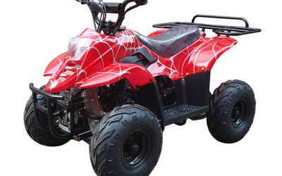 Tarantula 110cc ATV